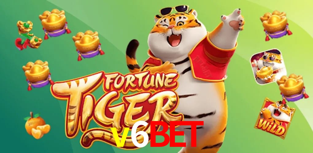 Experiência VIP v6bet